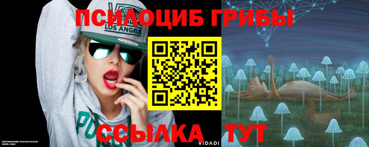 Псилоцибиновые грибы Cubensis Лабинск